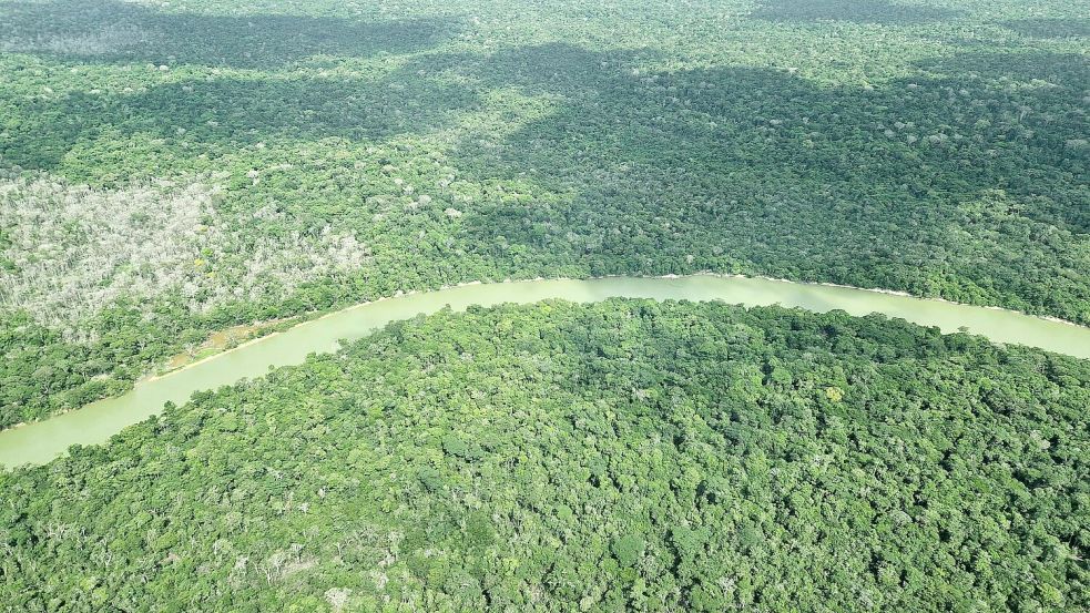 Am besten geschützt wird der Regenwald meist dort, wo indigene Gemeinschaften leben und dafür sorgen.  Foto: Larissa Schwedes/dpa