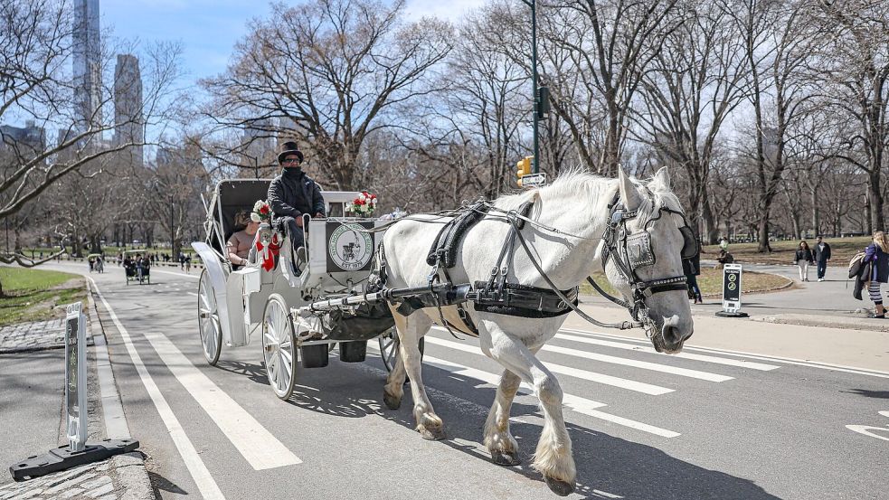 Die Kutschen rollen seit rund 150 Jahren durch den Central Park. (Archivbild) Foto: Bianca Otero/ZUMA Press Wire/dpa