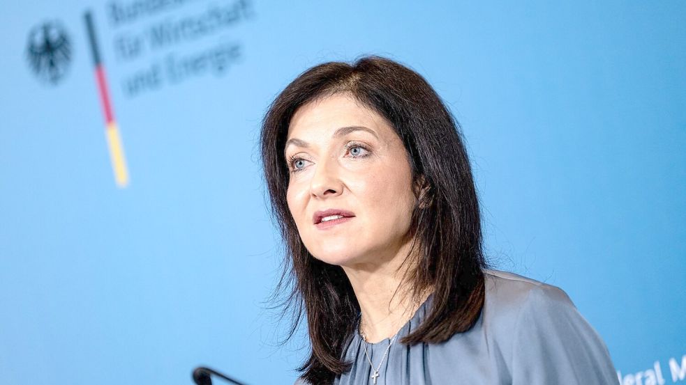 Die Partei wendet sich gegen einen Instagram-Beitrag des Bundeswirtschaftsministeriums. (Archivbild) Foto: Fabian Sommer/dpa