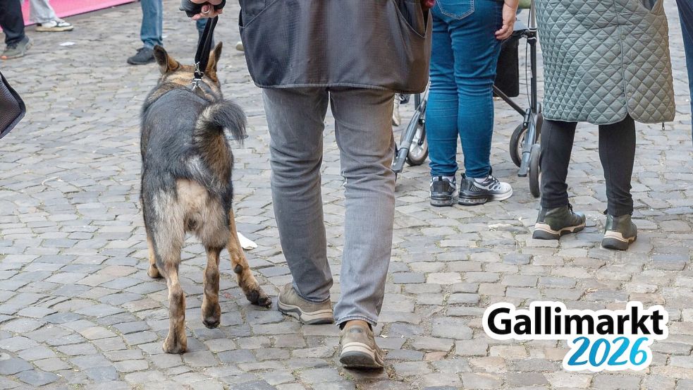 Manche Gallimarktbesucher liefen vor dem Verbot mit ihrem Hund über das Festgelände. Foto: Klaus Ortgies