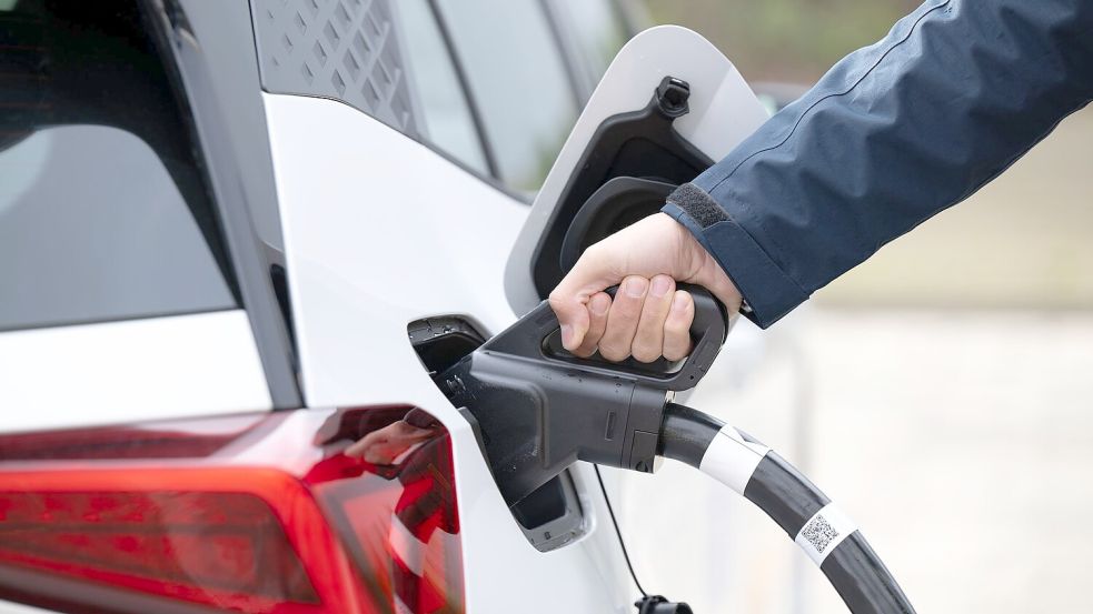 Das Geld für die Elektroauto-Förderung wird laut Bundesumweltminister Carsten Schneider (SPD) noch eine Weile reichen (Symbolbild). Foto: Sebastian Kahnert/dpa/dpa-tmn