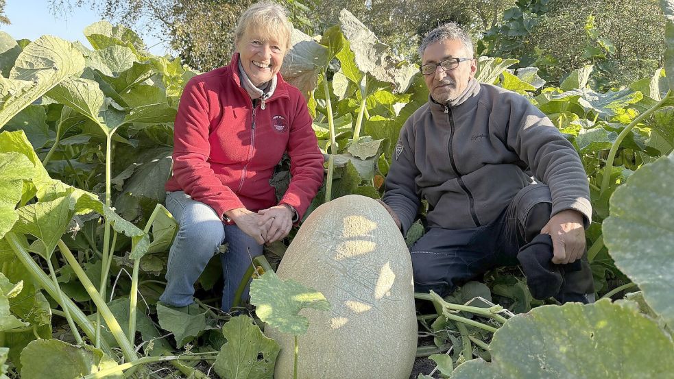 Kürbis oder Dinosaurier-Ei? Ellen Graepel und Vesa Stojanovic mit einem besonders prächtigen Exemplar. Foto: Marion Janßen