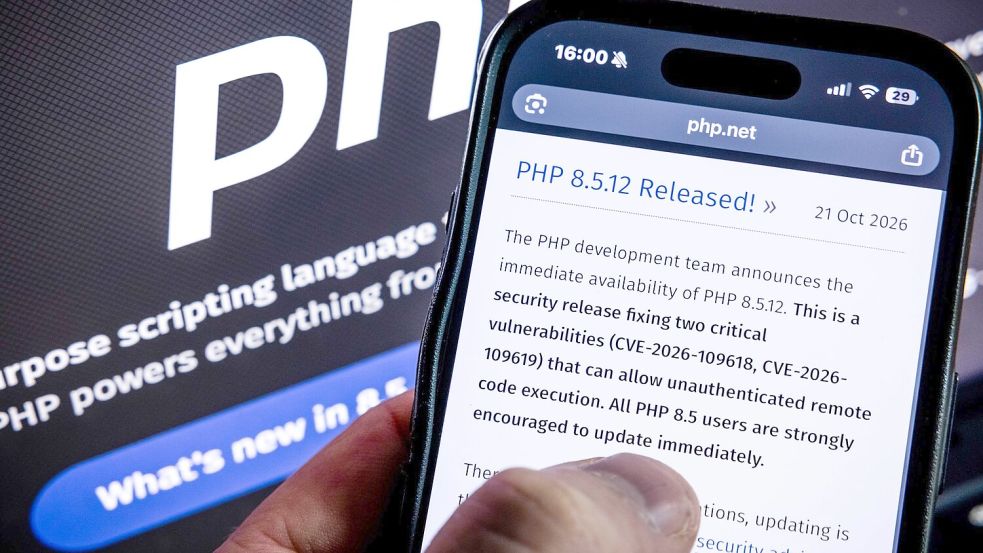 Angreifbare Webseiten sollten nach Ansicht eines Experten sofort abgeschaltet werden.  Foto: Rob Engelaar/ANP/dpa