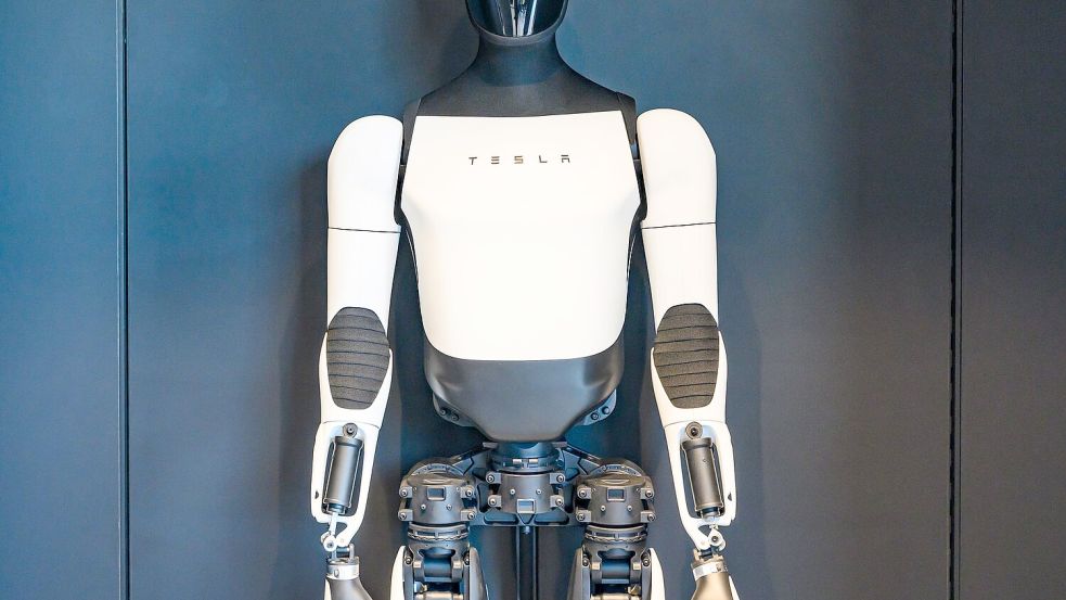 Laut Elon Musk werden Teslas Optimus-Roboter auch in Haushalte kommen. (Archivbild) Foto: Patrick Pleul/dpa