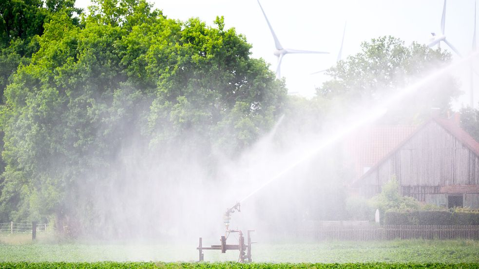 Wasser war auch in diesem Sommer knapp für viele Landwirte. Das Bild entstand 2025 in der Region Hannover. Ein Wassersprenger bewässert ein Kartoffelfeld. Foto: Julian Stratenschulte/dpa