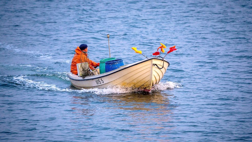 Es steht nicht gut um die Fischerei an der deutschen Ostseeküste. (Archivbild) Foto: Jens Büttner/dpa