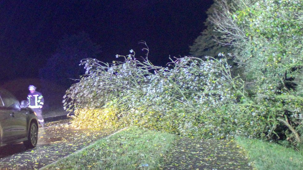 Die Feuerwehr in Weener musste in der Nacht auf Sonntag einen Baum von der B 436 räumen. Foto: Freiwillige Feuerwehr Weener
