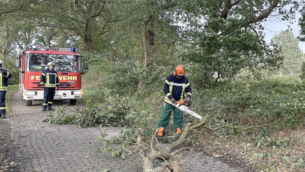 In Wiesens musste die Feuerwehr einen Baum von der Straße Achtert Gast beseitigen. Foto: M. Campen/Feuerwehr Wiesens