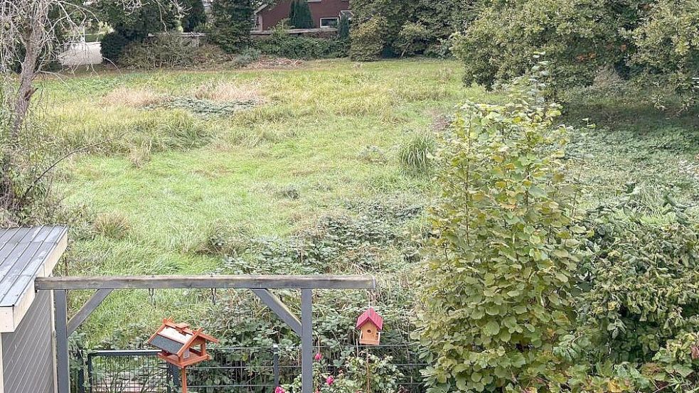 Für die einen eine wilde Wiese, für die Frau am Freitag ein prächtiger Lebensraum für zahlreiche Tiere. Foto: Kristina Groeneveld