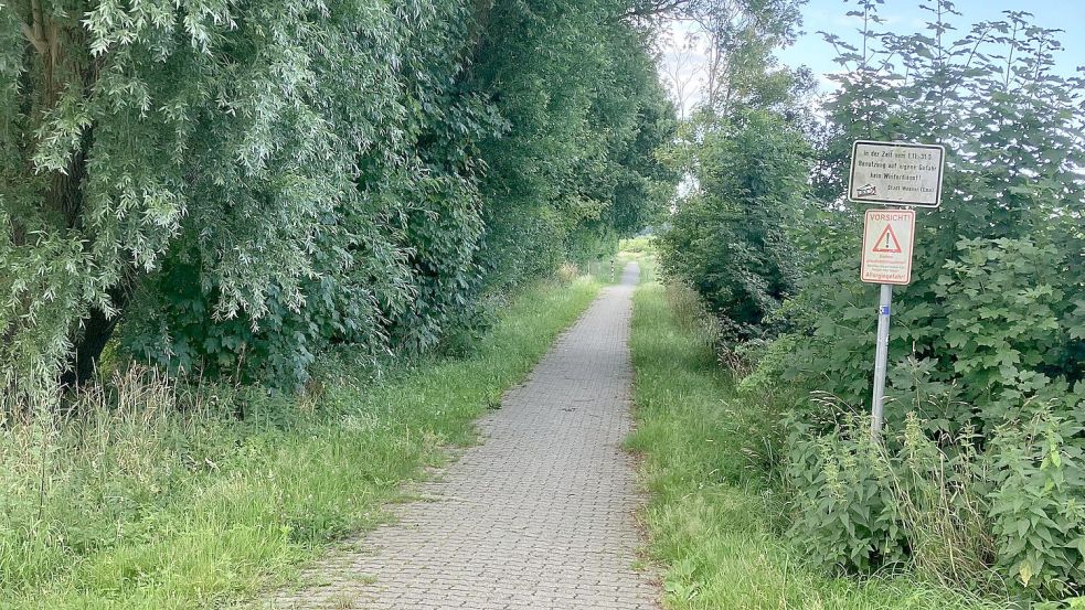 Unebenheiten, Versackungen im Pflaster und Pfützen nach Regenfällen sind für Nutzer des Püttenbollenwegs in Weener ein Ärgernis. Das soll nun bald Vergangenheit sein. Foto: Stadt Weener