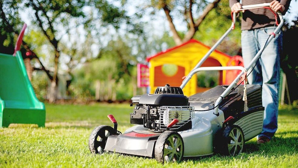 Mein Garten und ich Hilfe, das Gras ist nass wie kann man nun Rasen