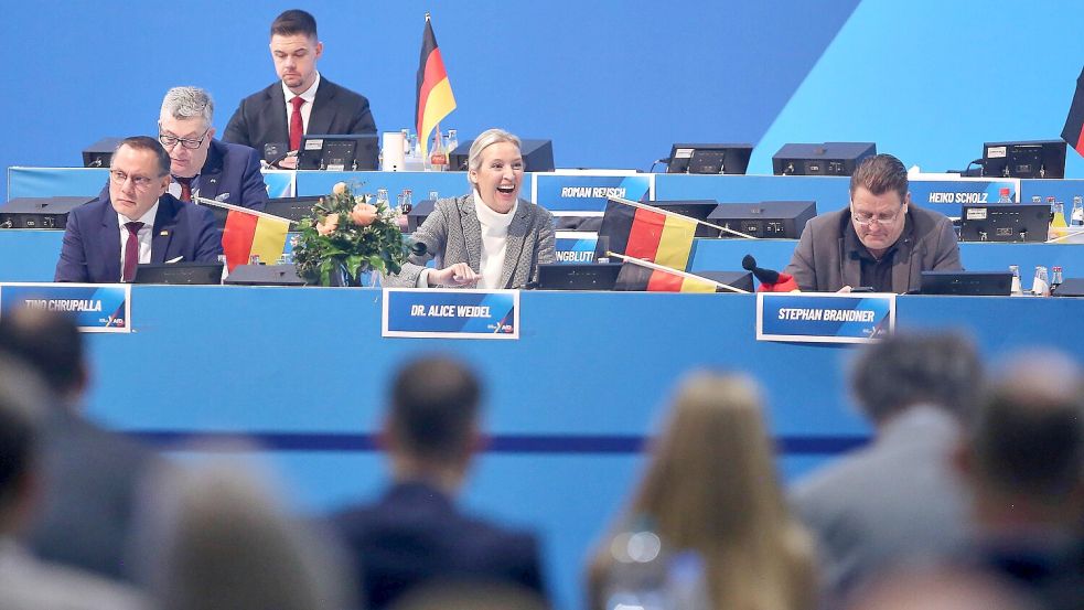 Nicht Mehr Weit Bis Zum Thron Bis Zum Großen Erfolg Riesa: AfD-Parteitag: Es ist nicht mehr weit bis zu österreichischen
