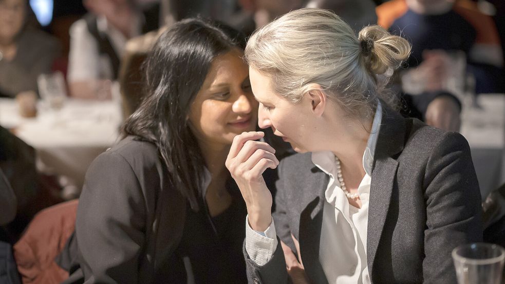 berlin-die-doppelrolle-von-alice-weidel-radikale-afd-politik-trifft
