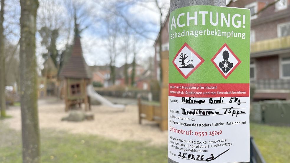 Nager in Innenstadt: Rattenbefall in Aurich - so ist der Stand