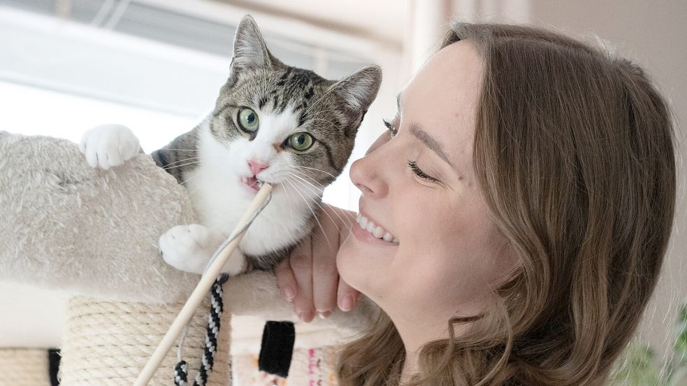 Mit Video: Kater Gülli - aus der Jauche ins Internet