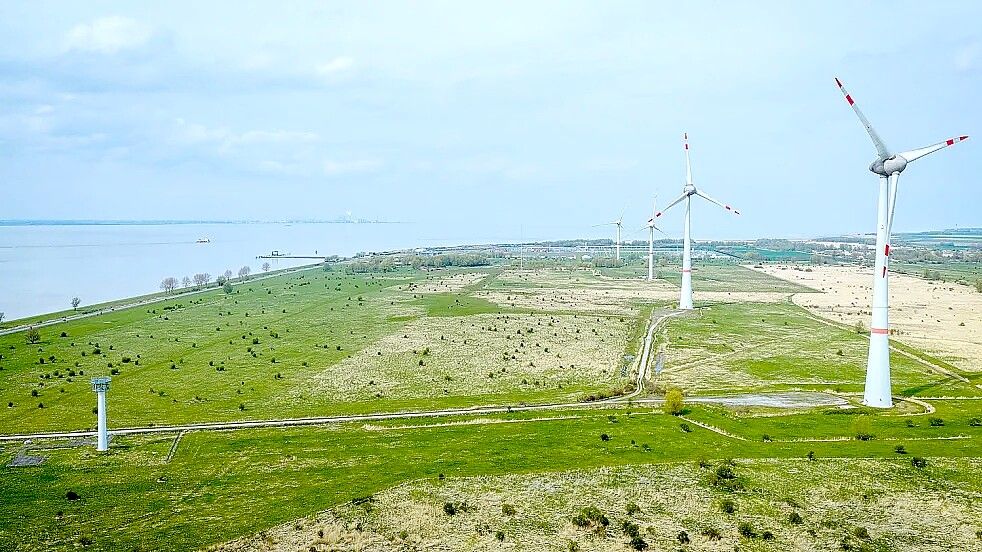 Planned naval port: Why environmentalists don't want to give up on the ...