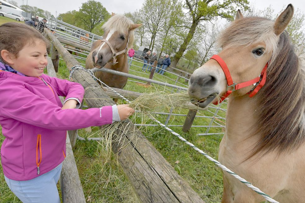 Tausende feiern 155. Bagbander Markt - Ostfriesen-Zeitung