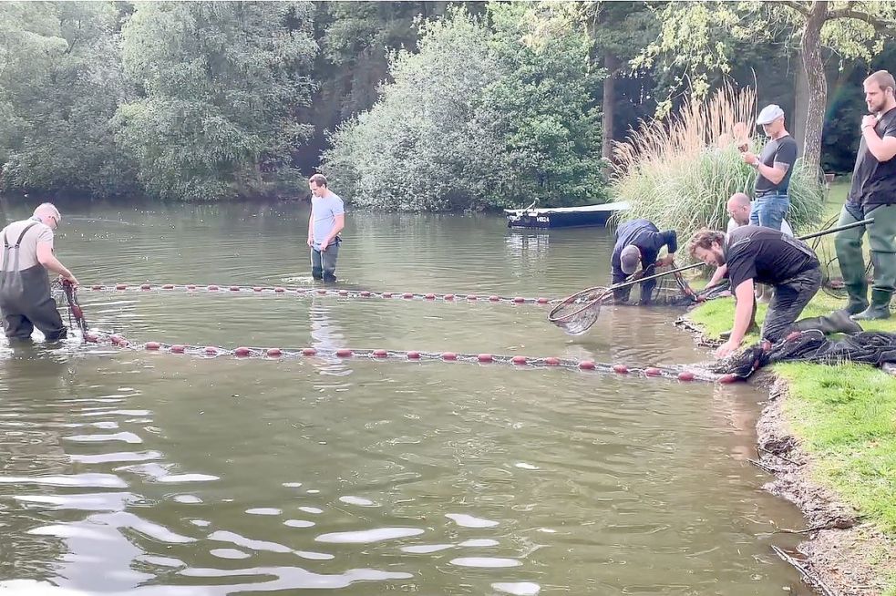 Fische werden aus dem Teich im Leeraner Julianenpark geholt